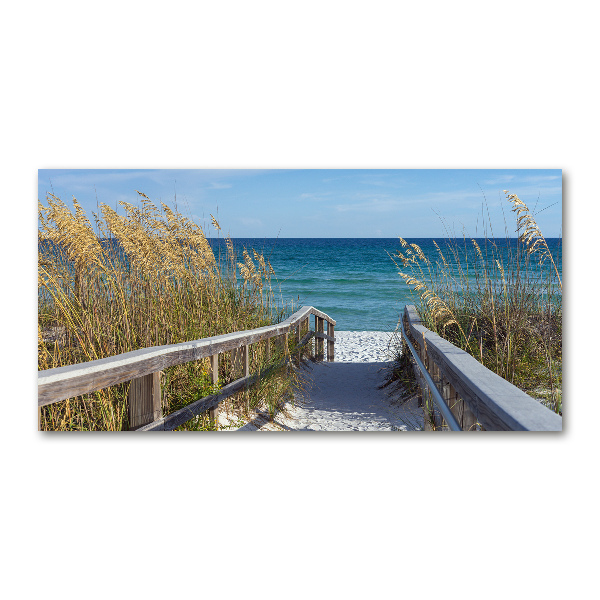 Photo printed on glass Coastal dunes