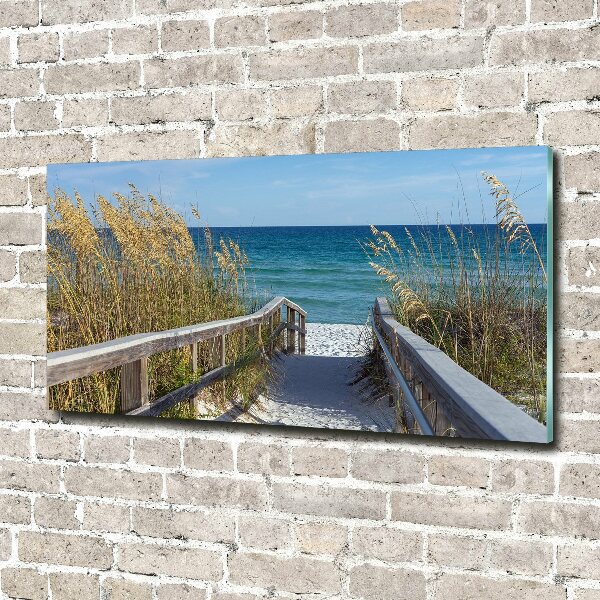 Photo printed on glass Coastal dunes