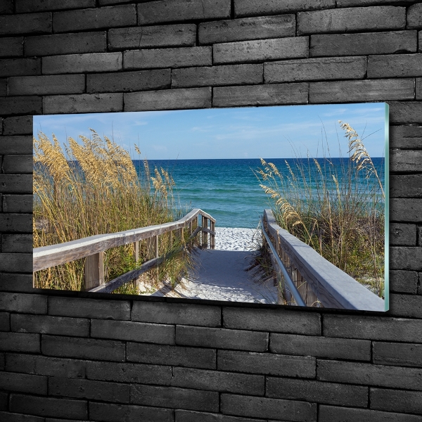 Photo printed on glass Coastal dunes