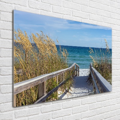 Photo printed on glass Coastal dunes