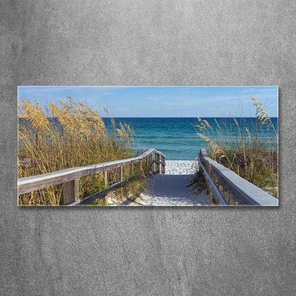 Photo printed on glass Coastal dunes