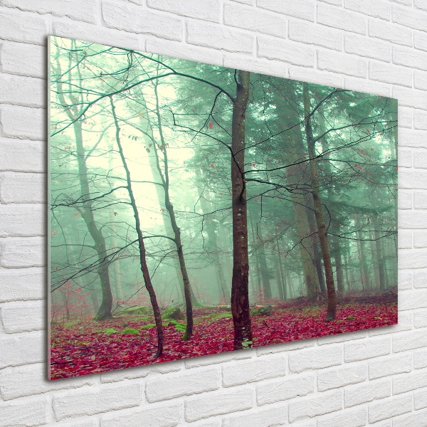 Glass wall art Autumn leaves