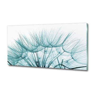 Glass wall art Dandelion seeds