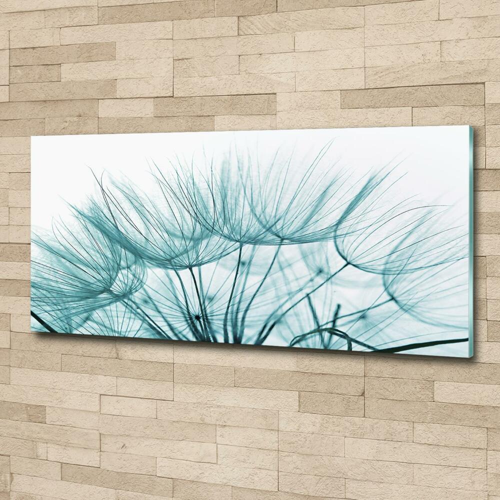 Glass wall art Dandelion seeds