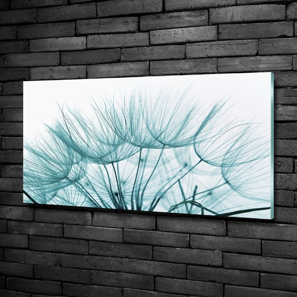 Glass wall art Dandelion seeds