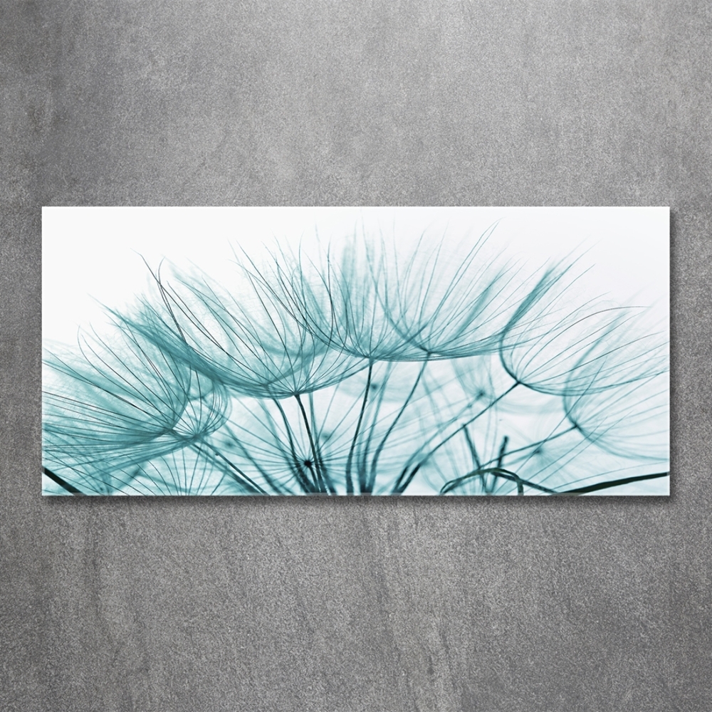 Glass wall art Dandelion seeds