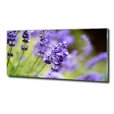 Glass wall art Lavender