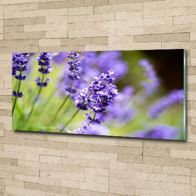 Glass wall art Lavender