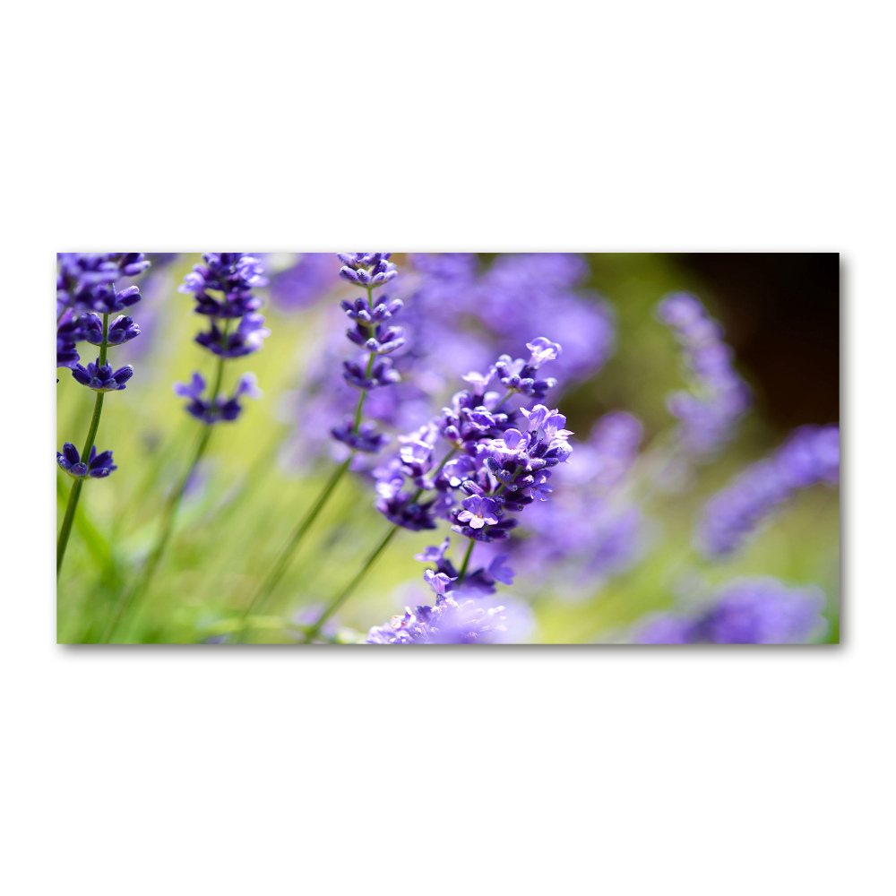 Glass wall art Lavender