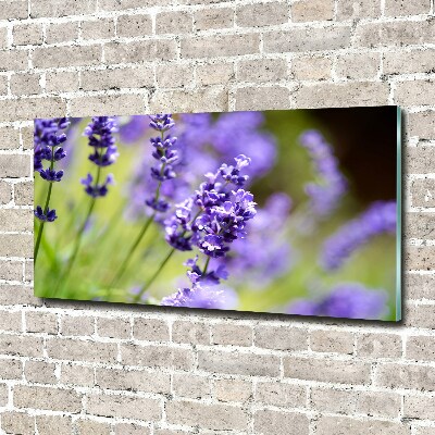 Glass wall art Lavender