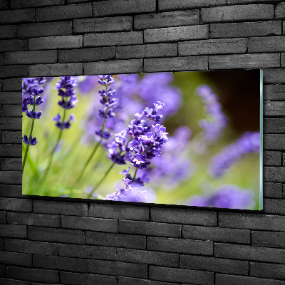 Glass wall art Lavender