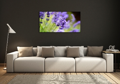 Glass wall art Lavender