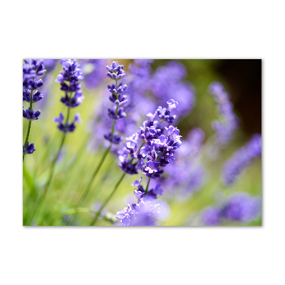 Glass wall art Lavender