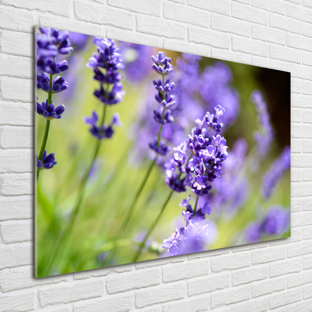 Glass wall art Lavender