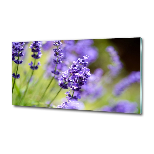 Glass wall art Lavender