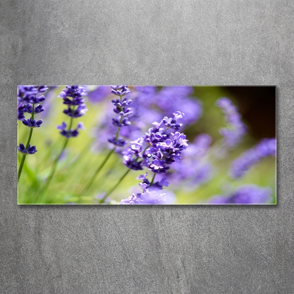 Glass wall art Lavender