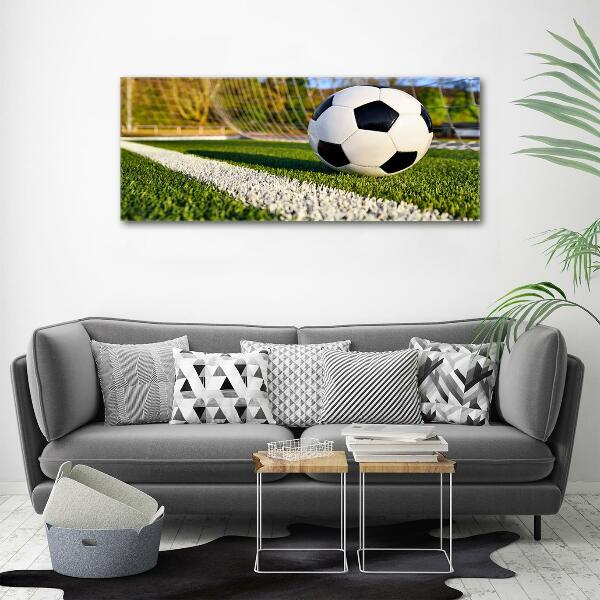 Wall art on glass Ball in the goal