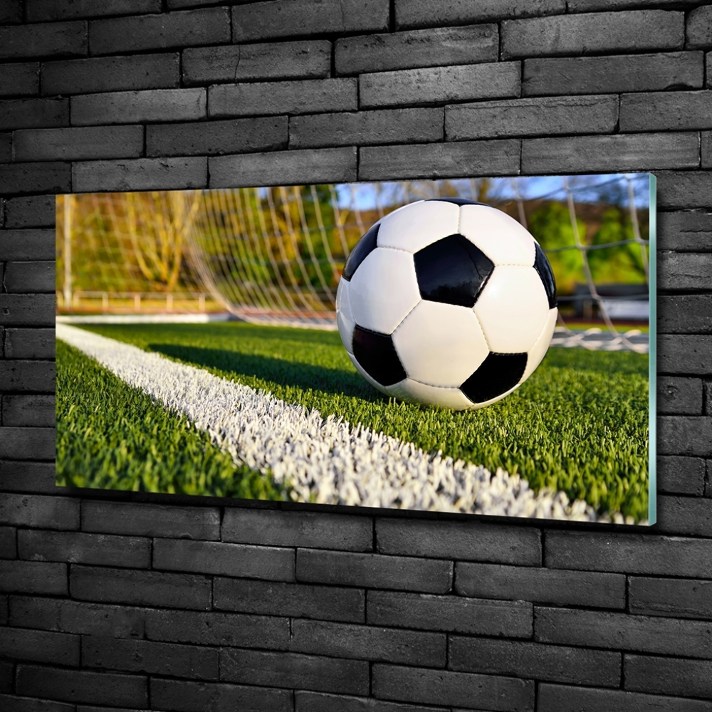 Wall art on glass Ball in the goal