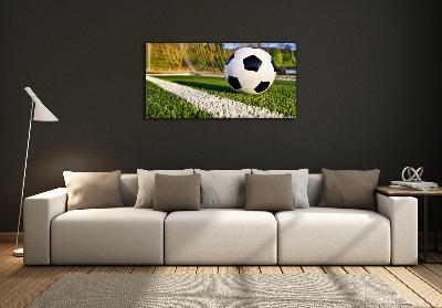 Wall art on glass Ball in the goal