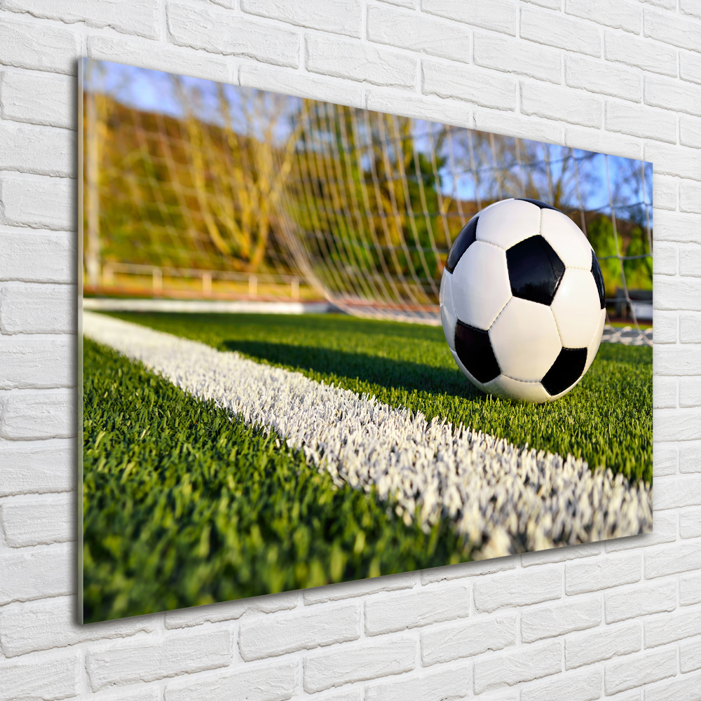 Wall art on glass Ball in the goal