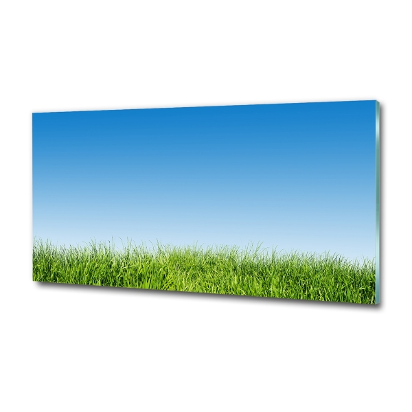 Glass art print Grass