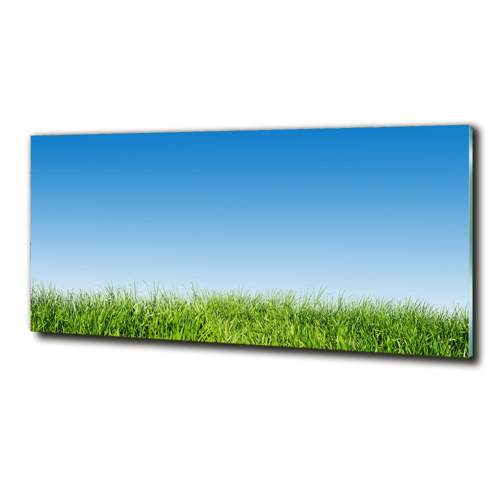 Glass art print Grass