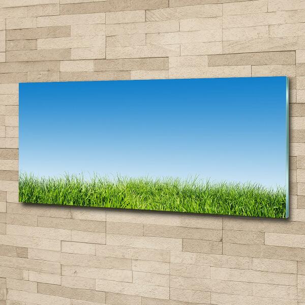 Glass art print Grass