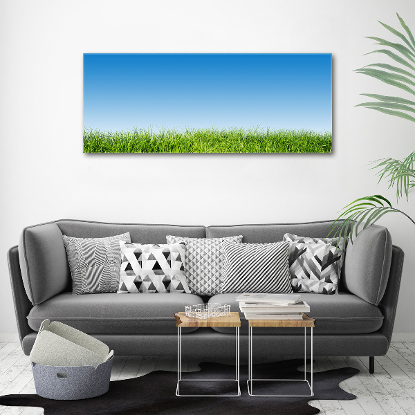 Glass art print Grass