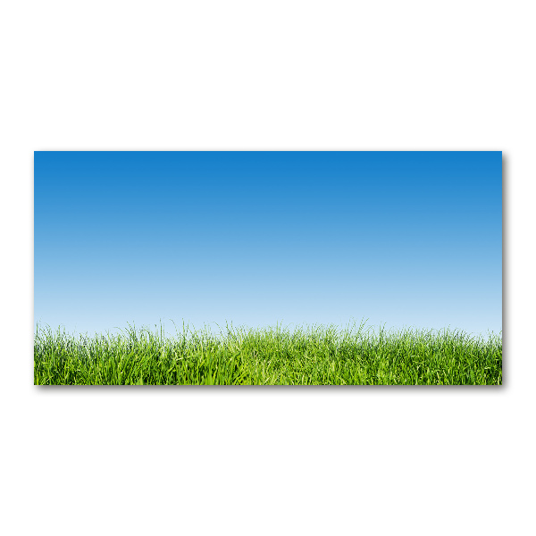 Glass art print Grass