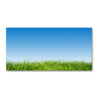 Glass art print Grass