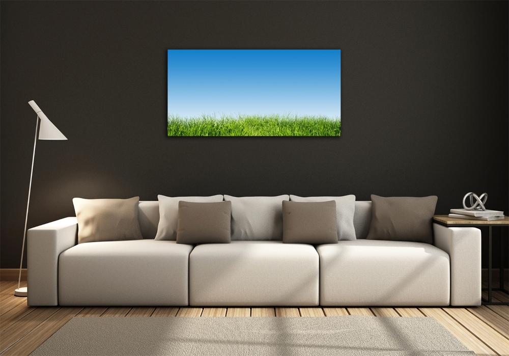 Glass art print Grass