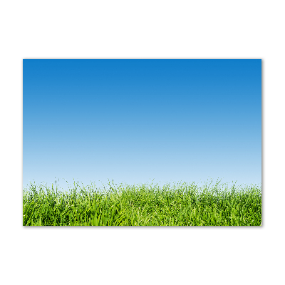 Glass art print Grass