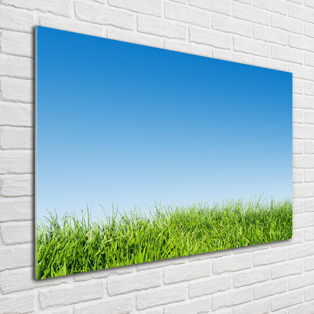 Glass art print Grass