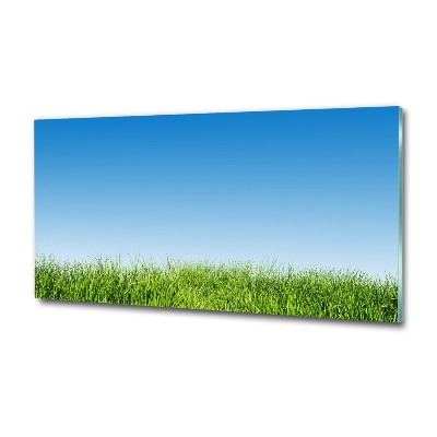 Glass art print Grass