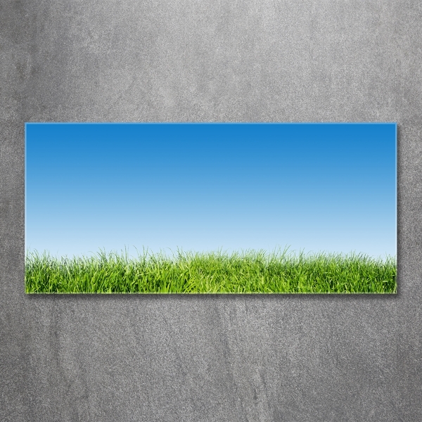 Glass art print Grass