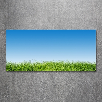 Glass art print Grass