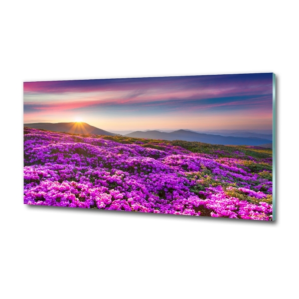 Glass art print Flowers in the mountains