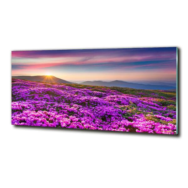 Glass art print Flowers in the mountains