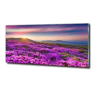 Glass art print Flowers in the mountains