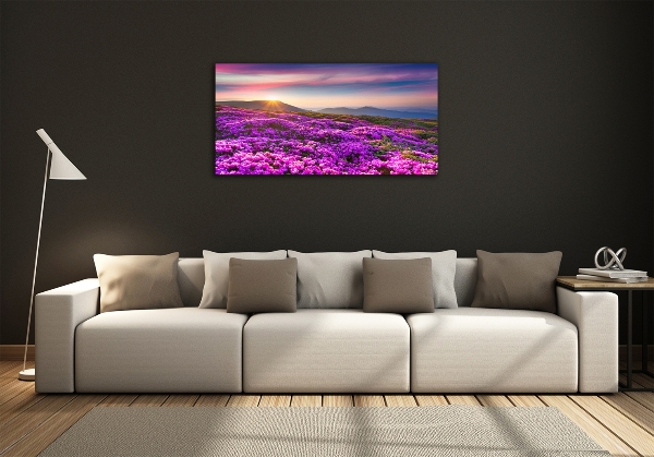 Glass art print Flowers in the mountains