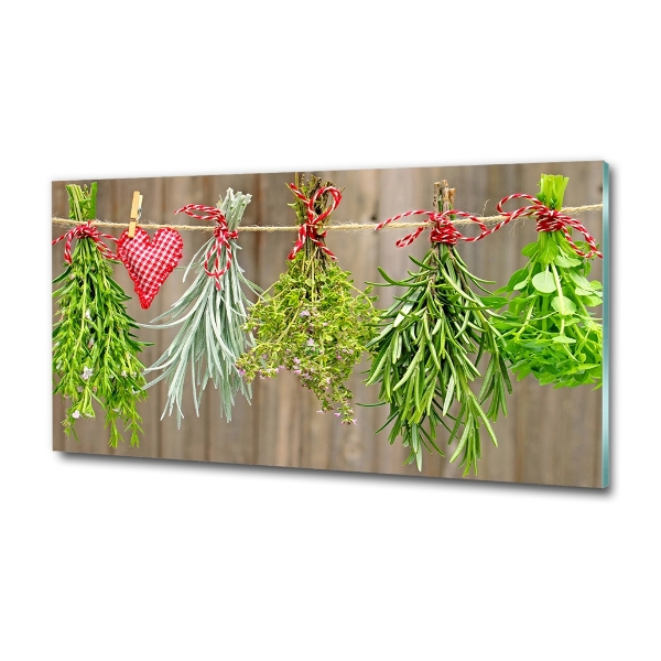 Glass wall art Herbs on a string