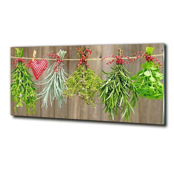 Glass wall art Herbs on a string