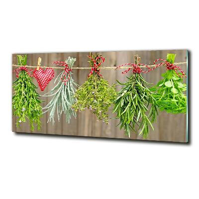 Glass wall art Herbs on a string