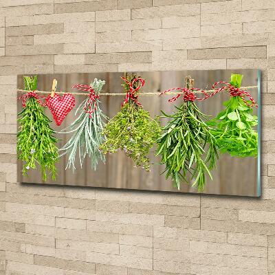 Glass wall art Herbs on a string