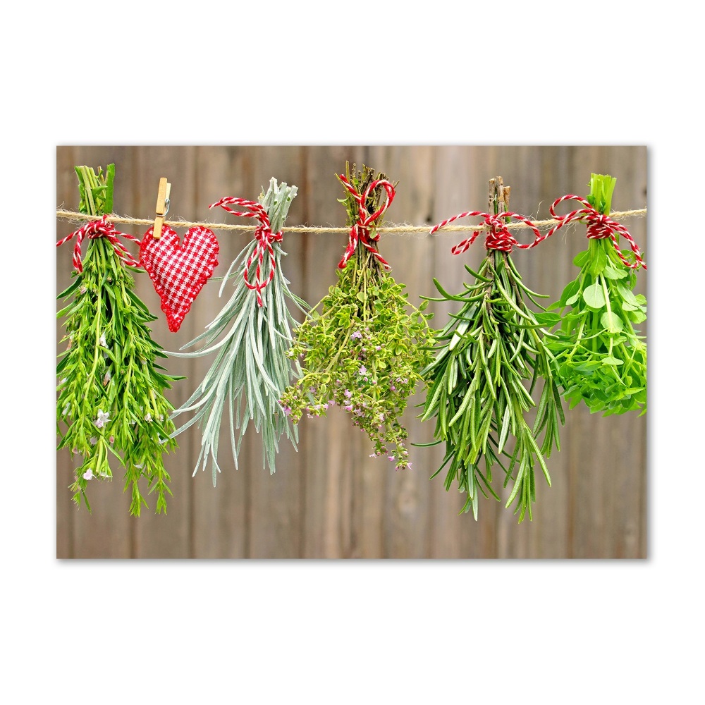 Glass wall art Herbs on a string