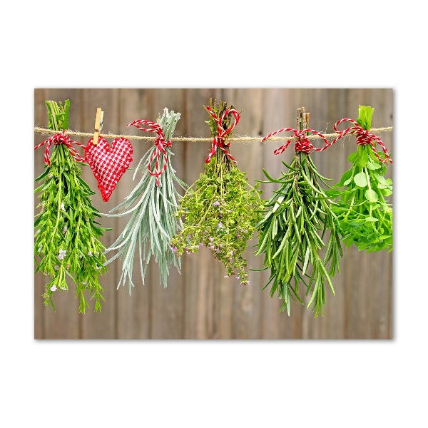 Glass wall art Herbs on a string