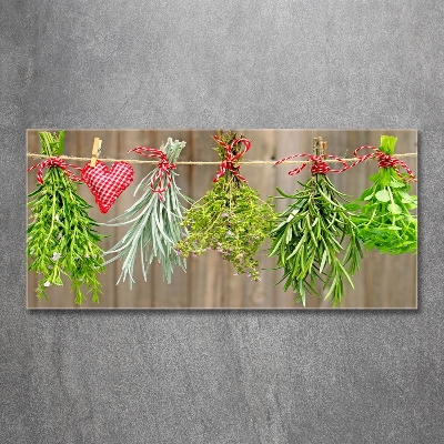 Glass wall art Herbs on a string