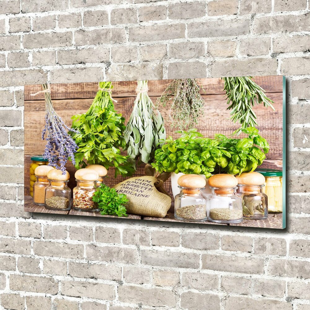 Wall art on glass Herbs on a string