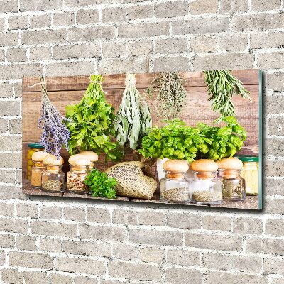 Wall art on glass Herbs on a string