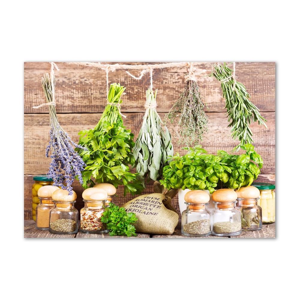 Wall art on glass Herbs on a string